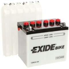 12V 24Ah 12N24-4A 184x124x175+- Exide цена и информация | Аккумуляторы | kaup24.ee