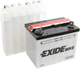 12V 24Ah U1-9 196x130x180+- Exide цена и информация | Аккумуляторы | kaup24.ee