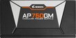 Gigabyte GP-AP750GM-EU цена и информация | Toiteplokid (PSU) | kaup24.ee