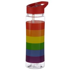 Veepudel 550 ml - Somewhere Rainbow hind ja info | Joogipudelid | kaup24.ee