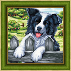 Artibalta Teemantmosaiigi komplekt. "Bordercollie 25x25 cm" AM1609 hind ja info | Teemantmaalid, teemanttikandid | kaup24.ee