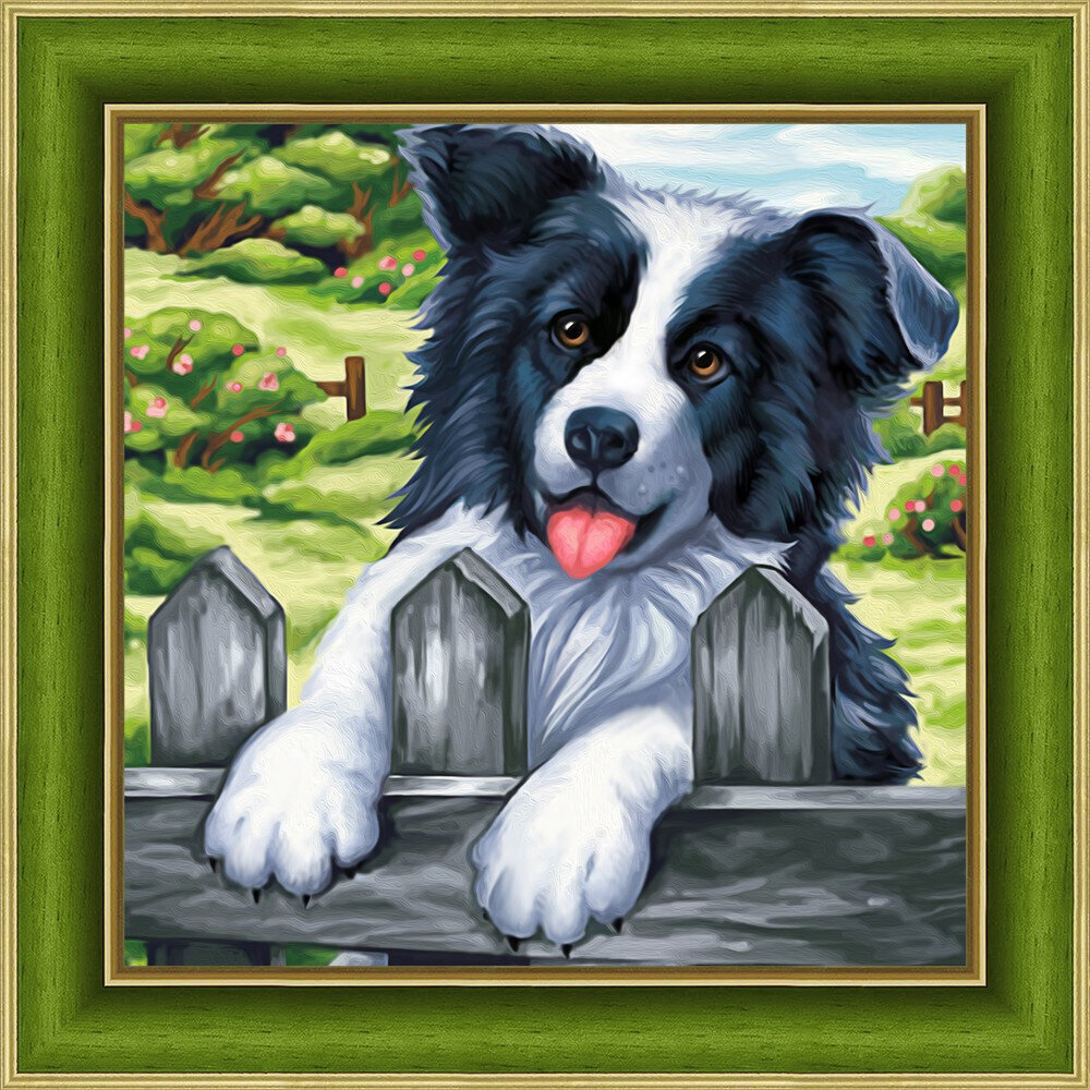 Artibalta Teemantmosaiigi komplekt. "Bordercollie 25x25 cm" AM1609 цена и информация | Teemantmaalid, teemanttikandid | kaup24.ee