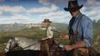 Videomäng Red Dead Redemption 2 PS4 цена и информация | Arvutimängud, konsoolimängud | kaup24.ee