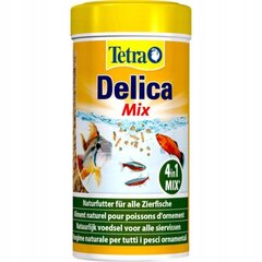 Külmkuivatatud kalatoit Tetra Delica Natural Snack Mix, 250ml - 30g цена и информация | Корм для живой рыбы | kaup24.ee