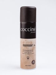 Ravvivant coccine brown suede and nubuck renovator цена и информация | Уход за одеждой и обувью | kaup24.ee