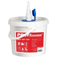 Cloths in a bucket with a soaking dispenser ProfiSauber WET SET 250 kaina ir informacija | Принадлежности для уборки | kaup24.ee