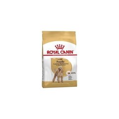 Royal Canin Poodle Adult täiskasvanud puudlikoertele, 7,5 kg hind ja info | Kuivtoit koertele | kaup24.ee