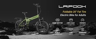 Elektrijalgratas Laifook CityFun, 20", 250W, 14Ah, roheline hind ja info | Elektrirattad | kaup24.ee