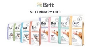 Brit Veterinary Calm &amp; Stress Relief 2 кг цена и информация | Сухой корм для кошек | kaup24.ee