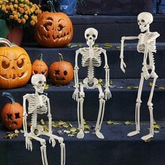 Inimese skelett skelett kolju kolju dekoratsioon halloween 93cm цена и информация | Праздничные декорации | kaup24.ee