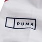 Puma naiste sportlikud säärised Classics Legging 577608 02 hind ja info | Naiste püksid | kaup24.ee