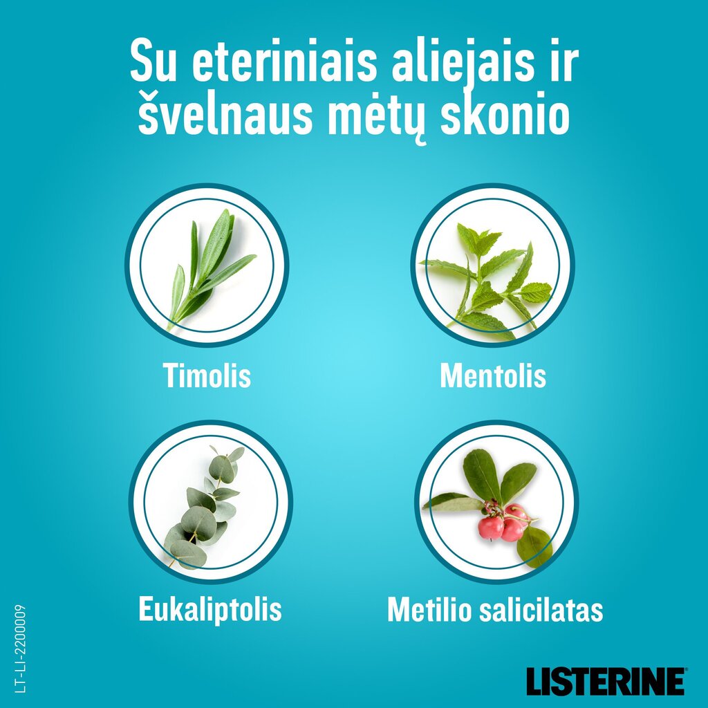 Suuloputusvedelik Listerine Zero Mouthwash Mild Mint 1000 ml hind ja info | Suuhügieen | kaup24.ee