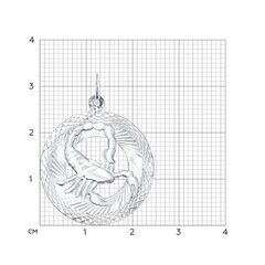 Подвеска «Знак зодиака Скорпион» 94030877 цена и информация | Украшения на шею | kaup24.ee