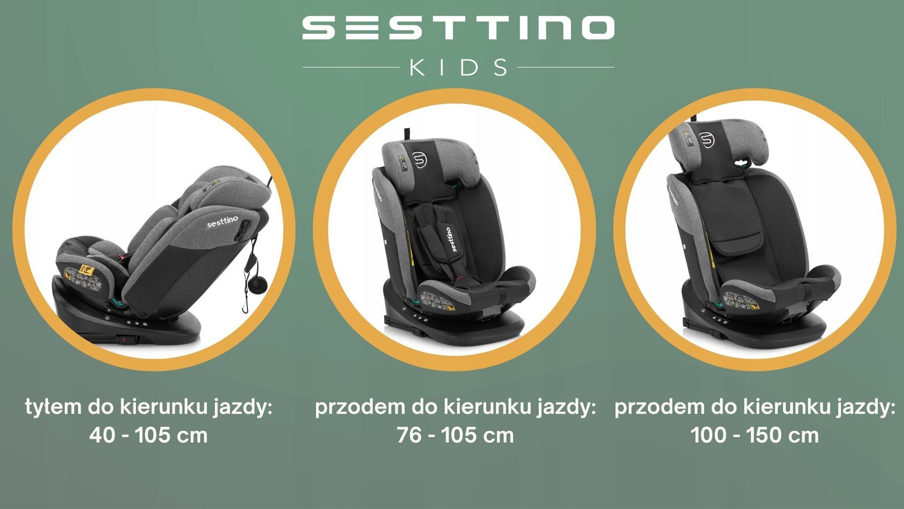 Sesttino Oktagon Pro "i-Size" turvahäll 40-150cm kõrgusele 0-36kg ISOFIX süsteemile цена и информация | Turvatoolid | kaup24.ee