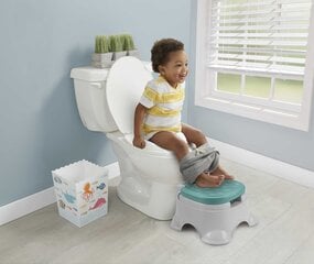 Pissipott Fisher-Price® 3-in-1 Basic Potty GYP61 hind ja info | Pissipotid | kaup24.ee