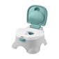 Pissipott Fisher-Price® 3-in-1 Basic Potty GYP61 hind ja info | Pissipotid | kaup24.ee