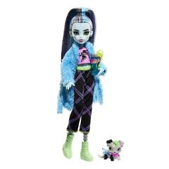 MONSTER HIGH Creepover кукла Frankie цена и информация | Игрушки для девочек | kaup24.ee