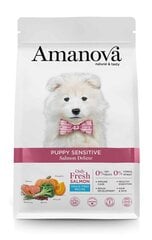 Корм Amanova Puppy Sensitive Salmon Deluxe для молодых щенков с лососем, 2 кг цена и информация | Сухой корм для собак | kaup24.ee