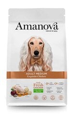 Amanova Adult Medium Exquisite Chicken keskmise tõu täiskasvanud koertele kanaga, 2 kg hind ja info | Kuivtoit koertele | kaup24.ee