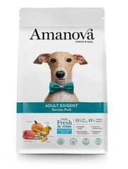 Amanova Adult Exigent для взрослых собак с иберийской свининой, 2 кг цена и информация | Сухой корм для собак | kaup24.ee