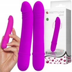 Vibraator Pretty Love Discreet Mini, lilla цена и информация | Вибраторы | kaup24.ee