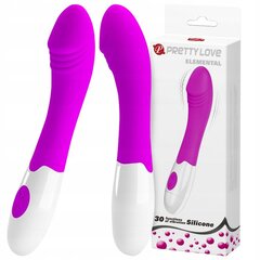 SMART PRETTY LOVE MEREDITH MASSAGER 12 РЕЖИМОВ ВИБРАЦИИ цена и информация | Вибраторы | kaup24.ee