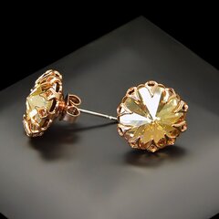 Серьги "Винтаж (Golden Shadow)" с кристаллами Swarovski™ цена и информация | Серьги | kaup24.ee