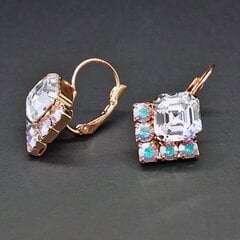 Naiste kõrvarõngad Diamond Sky „Imperial II“ koos Swarovski kristallidega цена и информация | Серьги | kaup24.ee