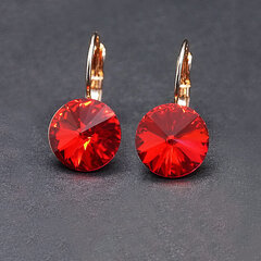 Naiste kõrvarõngad DiamondSky „Clarice II (Scarlet)“ koos Swarovski kristallidega hind ja info | Kõrvarõngad | kaup24.ee