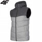 Meeste vest, 4F, Helehall hind ja info | Meeste vestid | kaup24.ee