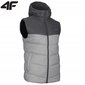 Meeste vest, 4F, Helehall hind ja info | Meeste vestid | kaup24.ee