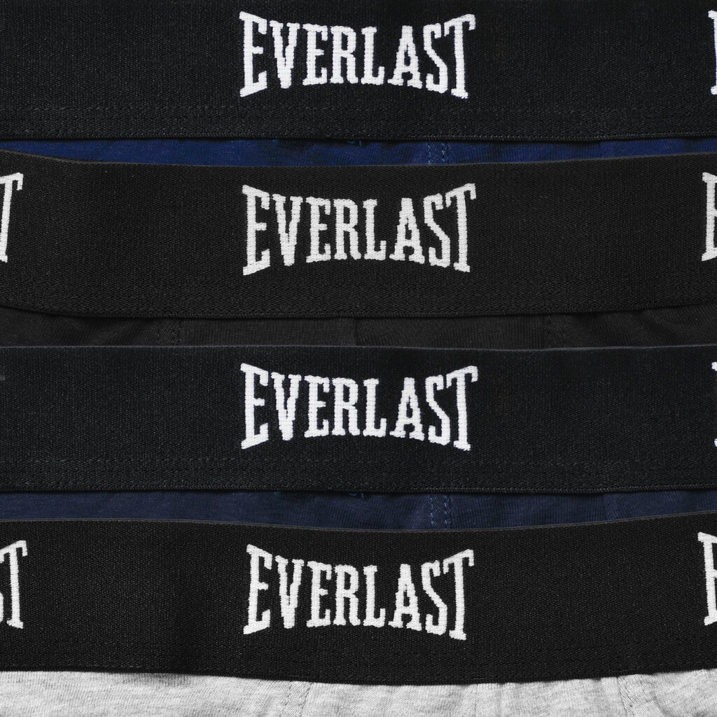 Bokserid Meestele EVERLAST EV004 Puuvillased, Aluspesu, 4 tk hind ja info | Meeste aluspesu | kaup24.ee