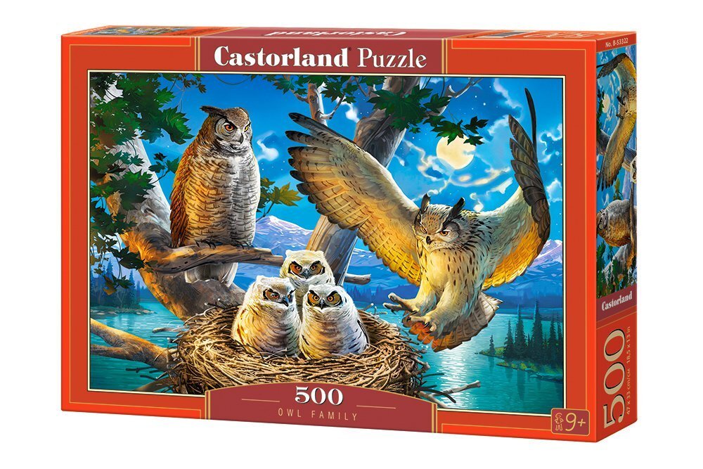 Pusle "Owl Family" Castorland, 500 tk hind ja info | Pusled | kaup24.ee