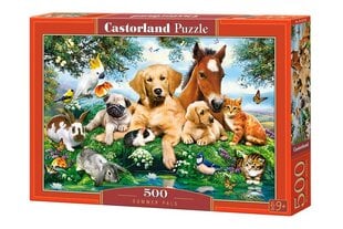 Pusle "Summer Pals" Castorland, 500 tk hind ja info | Pusled | kaup24.ee