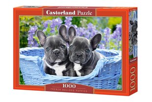 Pusle Castorland Puzzle French Bulldog Puppies, 1000-osaline hind ja info | Pusled | kaup24.ee