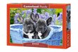 Pusle Castorland Puzzle French Bulldog Puppies, 1000-osaline цена и информация | Pusled | kaup24.ee