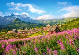 Pusle Castorlandi Puzzle Hala Gąsienicowa, Tatras, Poland, 1000-osaline цена и информация | Пазлы | kaup24.ee