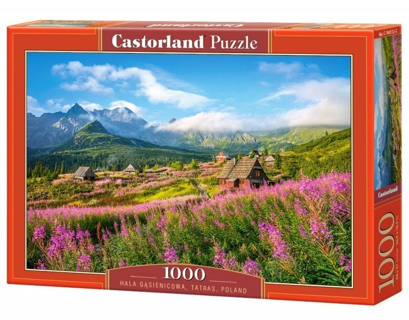 Pusle Castorlandi Puzzle Hala Gąsienicowa, Tatras, Poland, 1000-osaline hind ja info | Pusled | kaup24.ee