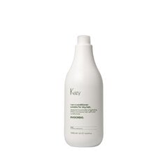 Palsam kuivadele juustele Kezy Avocado Hair conditioner, 1000 ml hind ja info | Juuksepalsamid | kaup24.ee