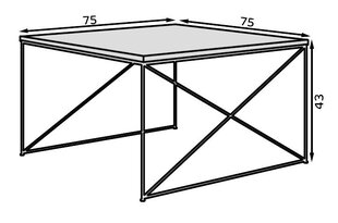 Журнальный столик ADRK Furniture Nelia, черный/золотой цена и информация | Журнальные столики | kaup24.ee