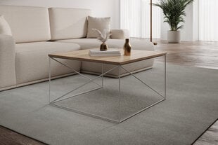 Kohvilaud ADRK Furniture Nelia, pruun/valge hind ja info | Diivanilauad | kaup24.ee