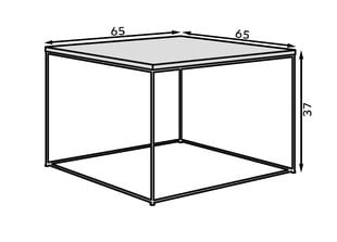 Журнальный столик ADRK Furniture Roni, белый/золотой цена и информация | Журнальные столики | kaup24.ee