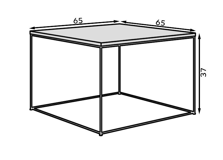 Kohvilaud ADRK Furniture Roni, pruun/valge hind ja info | Diivanilauad | kaup24.ee