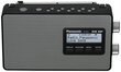 Panasonic RF-D10GN-K hind ja info | Raadiod ja äratuskellad | kaup24.ee