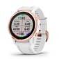 GPS-spordikell Garmin fēnix® 6S Pro 42mm, roosakaskuldne valge rihmaga : 010-02159-11 цена и информация | Nutikellad (smartwatch) | kaup24.ee