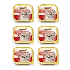 Konserv kassidele kotis PRINCESS Lifestyle Pate Beef, 6 x 100 g цена и информация | Кошачьи консервы | kaup24.ee