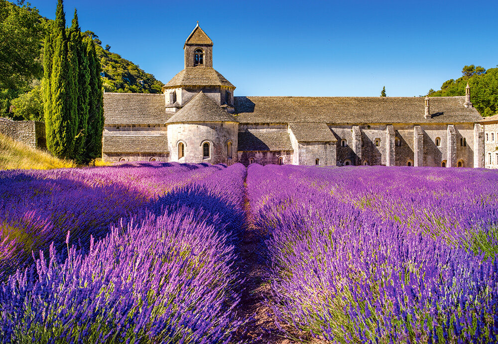 Pusle Castorland Puzzle Lavender Field in Provence, France, 1000-osaline hind ja info | Pusled | kaup24.ee