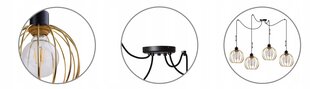 LightHome rippvalgusti Spider Mona hind ja info | Rippvalgustid | kaup24.ee