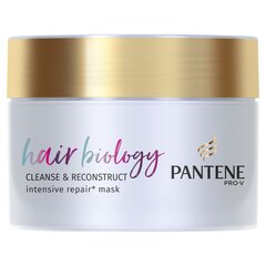 Mask kahjustatud juustele rasustele juurtele PANTENE BIOLOGY Cleanse & Reconstruct 160 ml цена и информация | Маски, масла, сыворотки | kaup24.ee