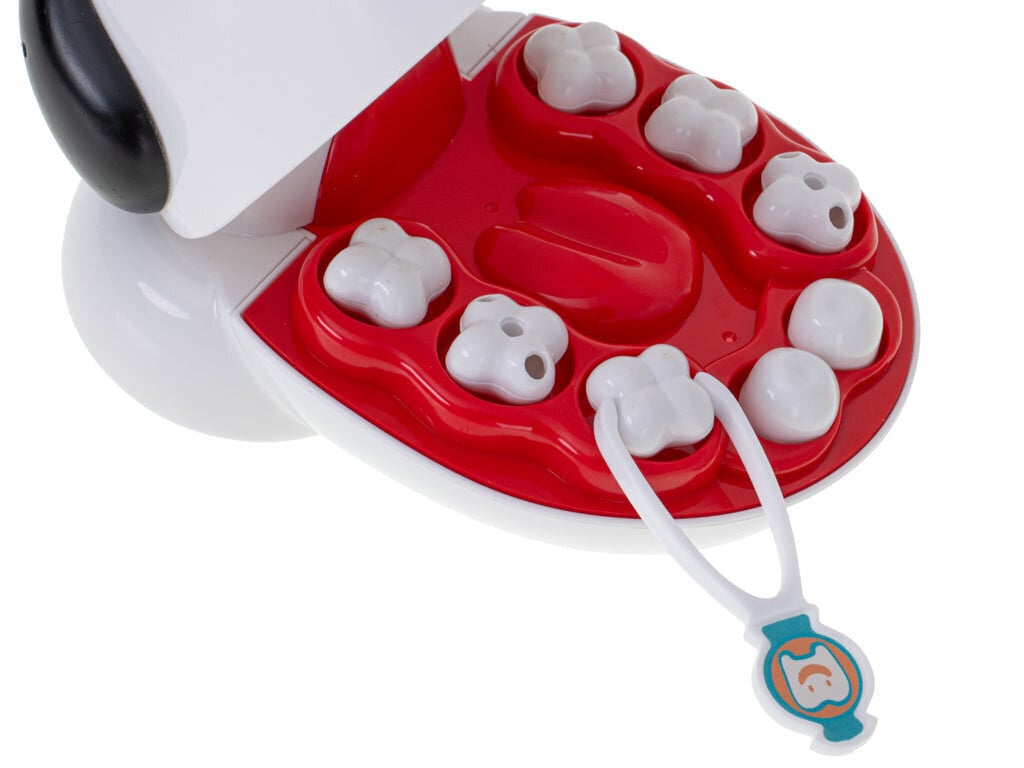 Õppekomplekt Pet Dentist KidsPro цена и информация | Arendavad mänguasjad | kaup24.ee